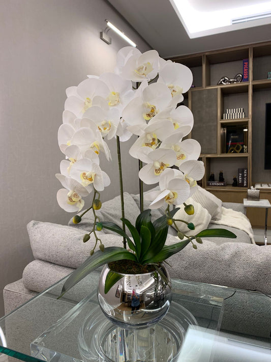 Orquídeas en base de esfera de vidrio tipo espejo plateada.