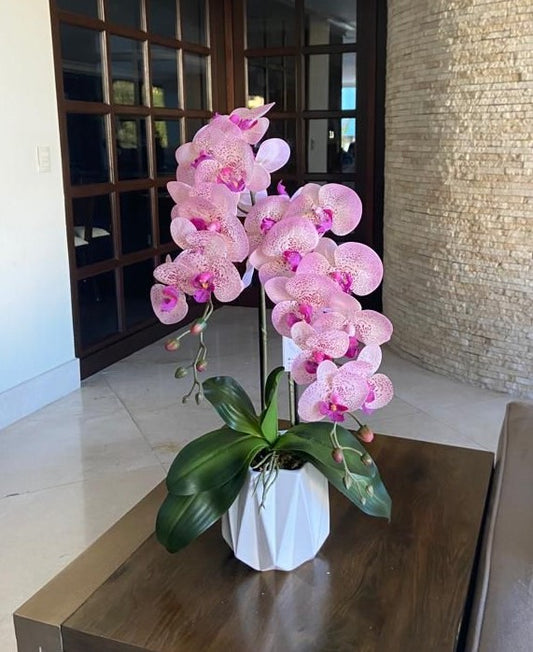 Orquídeas en base de cerámica blanca en forma de Zigzag