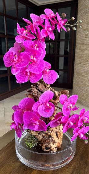 Orquídea con racies - Rosa