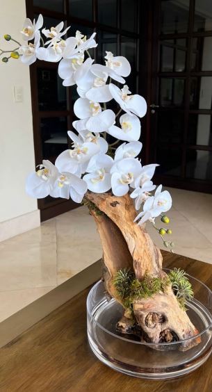 Orquídea con racies - Blanco